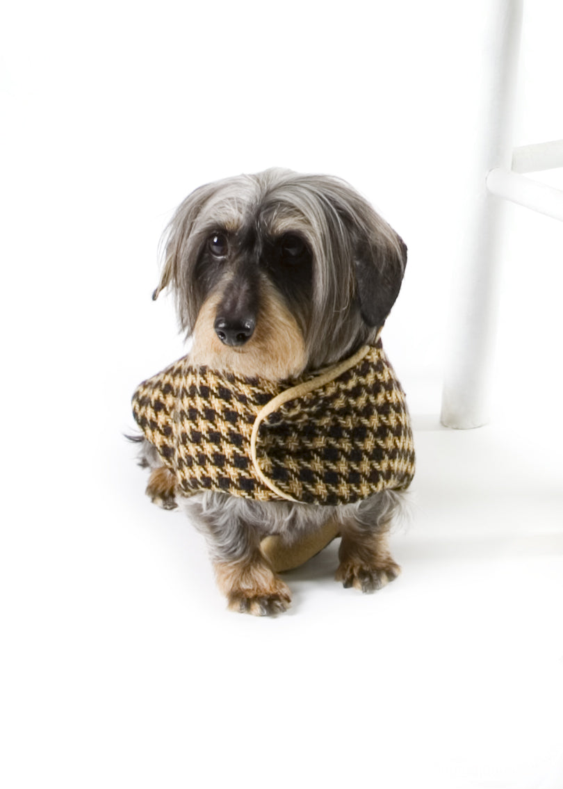 The Chanel-Inspired – Canine Couture Collection