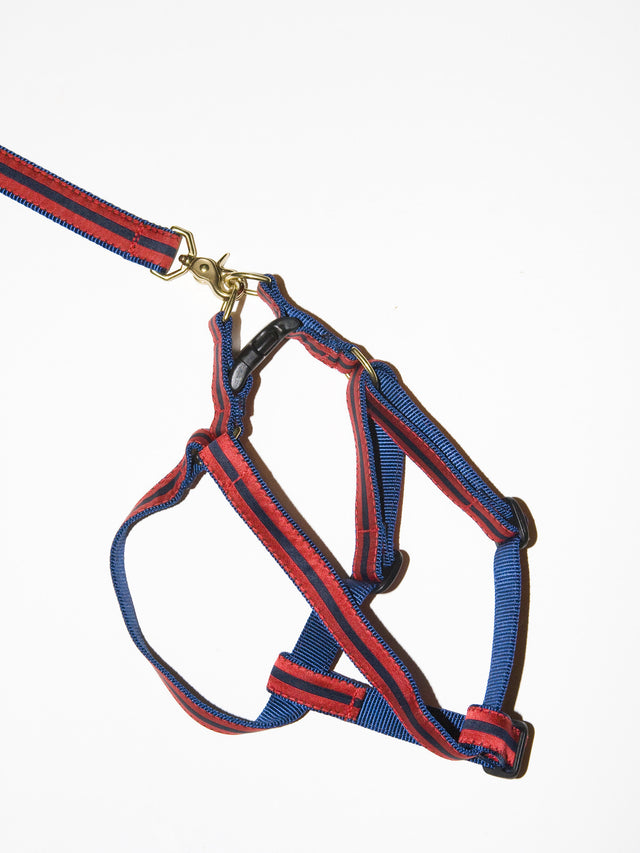 Step-In Harness - Premium Dog Apparel by Canine Couture