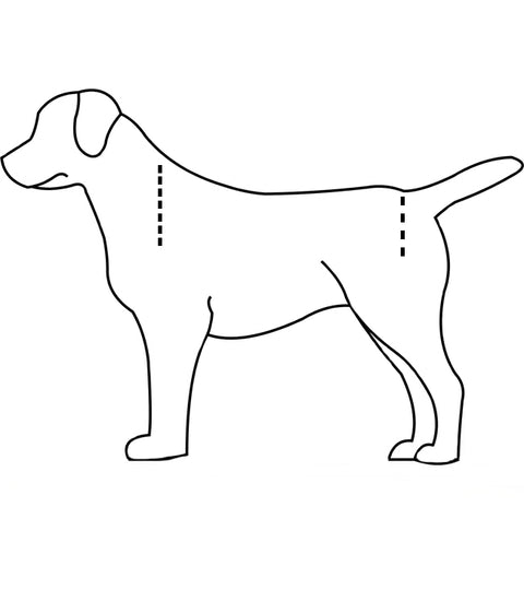 How to Measure your Dog