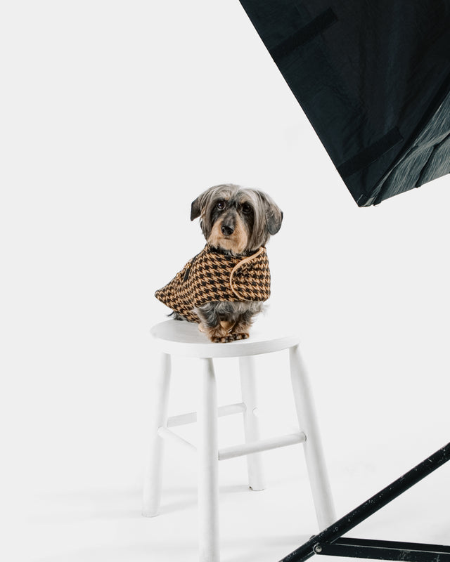 Caroline in the Chanel-Inspired Wool Coat sitting on a white stool at a photo shoot