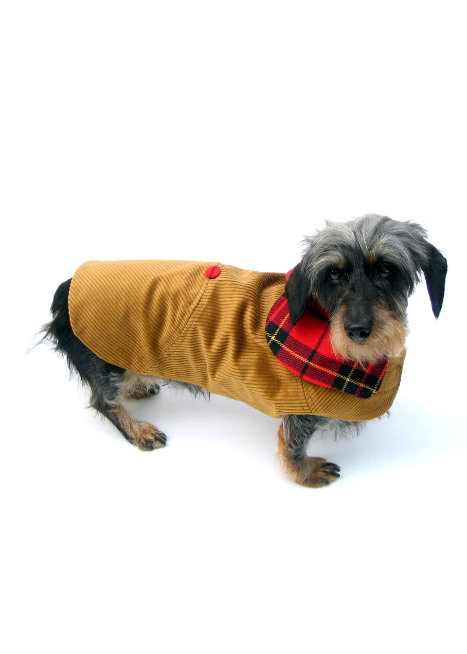 The Corduroy Hunt Coat