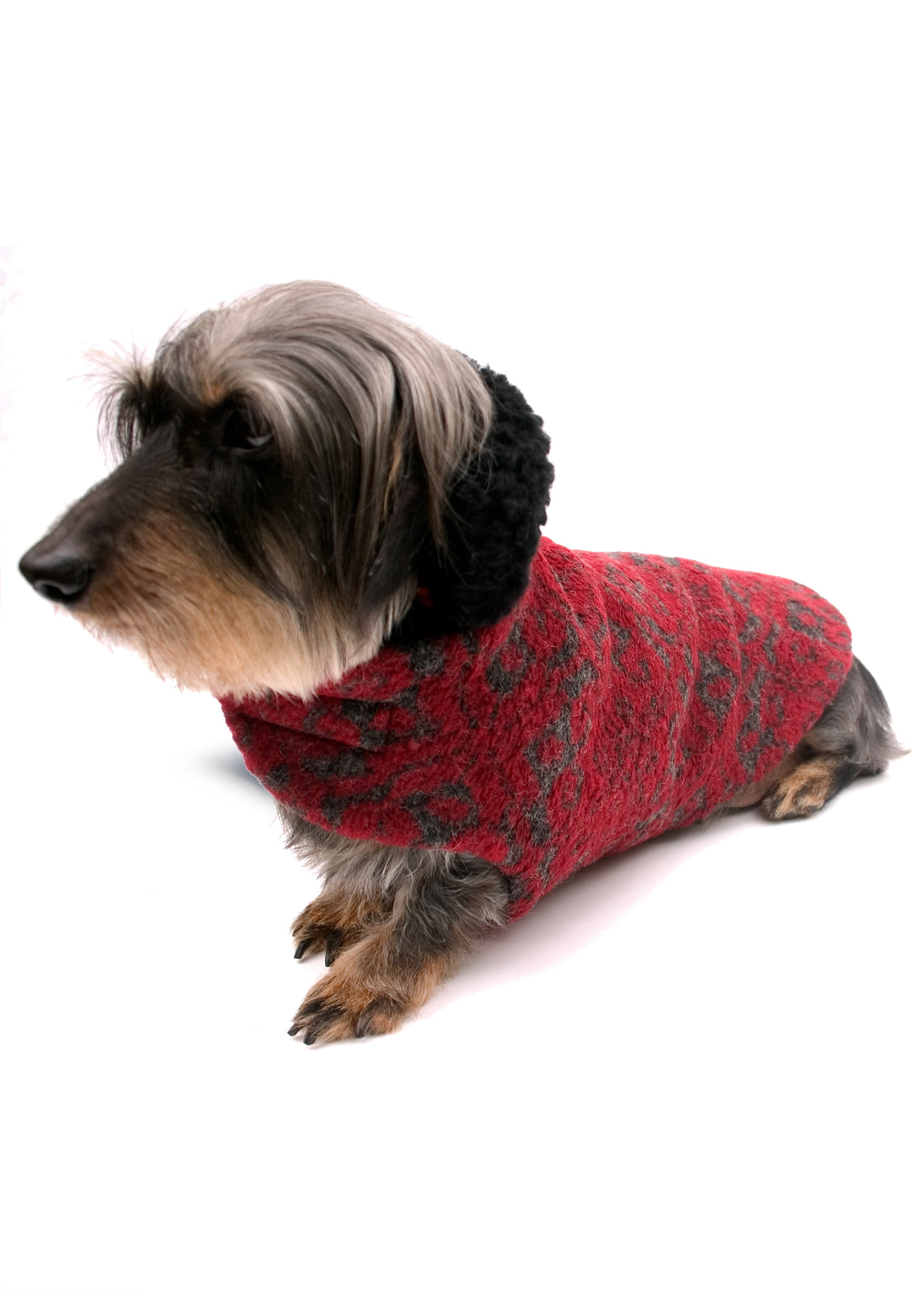 Canine Couture Collection | Handmade Dog Coats and Collars
